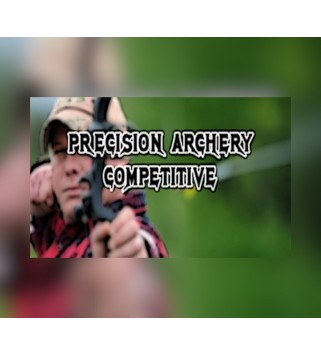 Precision Archery: Competitive Steam Key GLOBAL